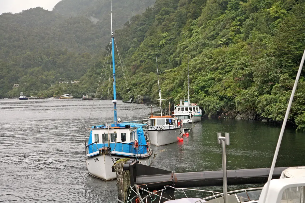 Boats tied up at the Deep Cove pier where a Doubtful Sound cruise begins.