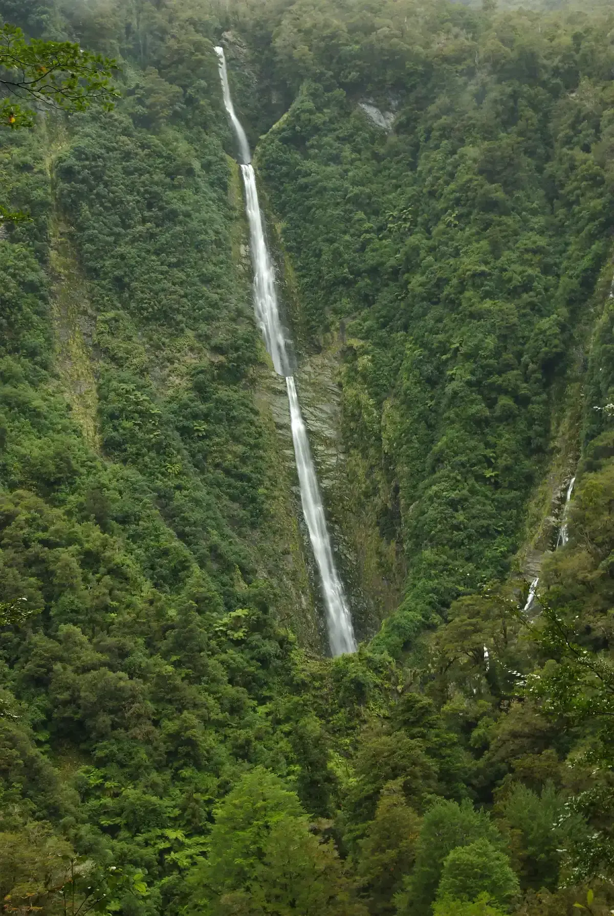 Humboldt Falls streaming down a forested cliff near Milford Sound.