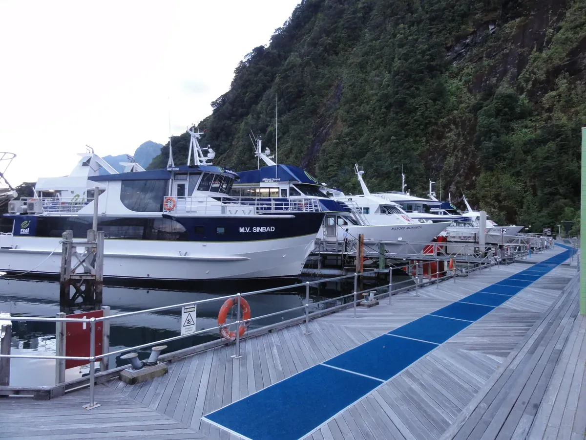 Cruise boats of different sizes moored along the Milford Sound harbour jetty.