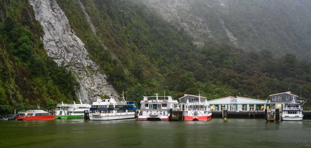 Boats lined up at the Milford Sound harbour below steep fiord walls.