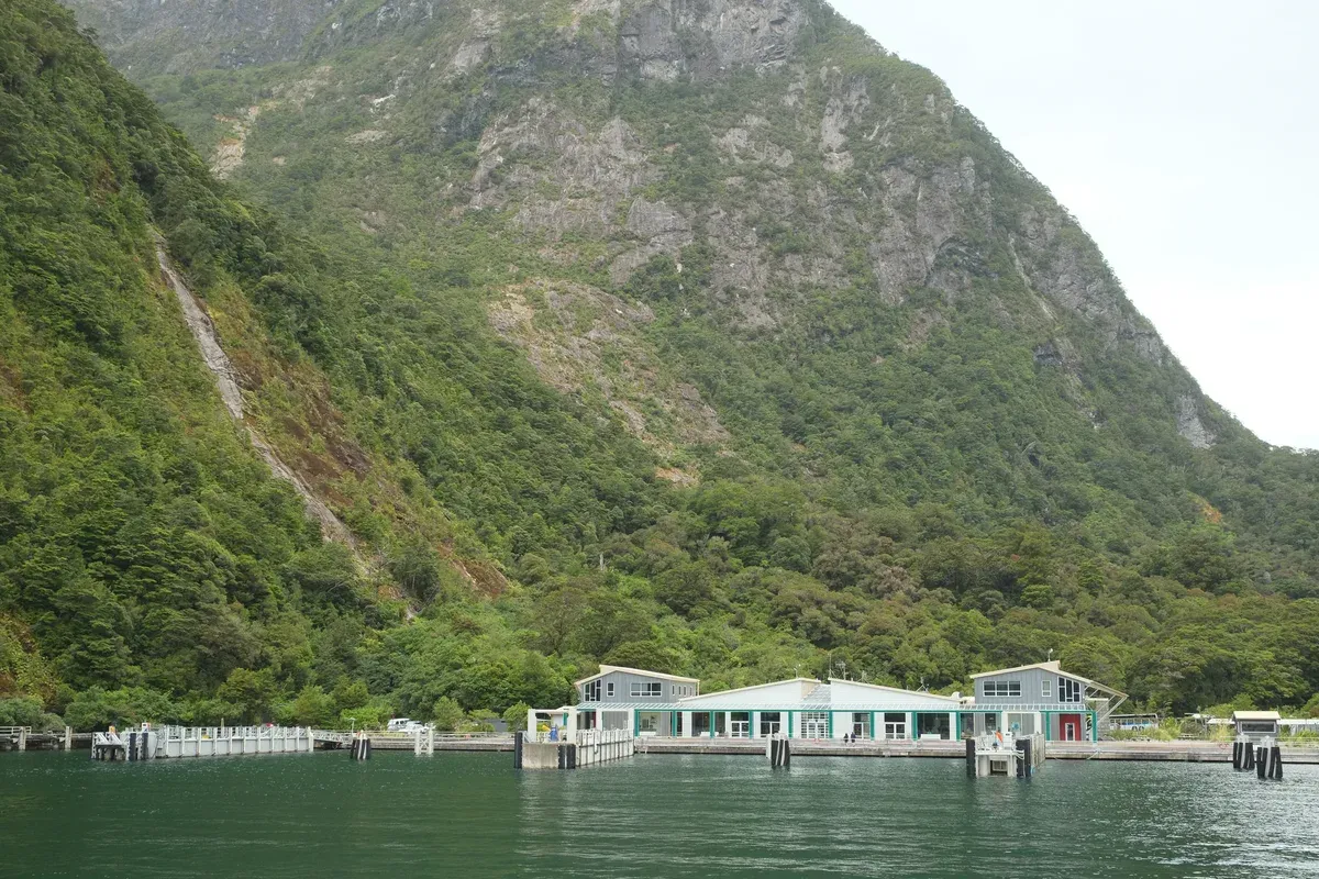 The Milford Sound visitor terminal and wharf in Freshwater Basin below forested cliffs.