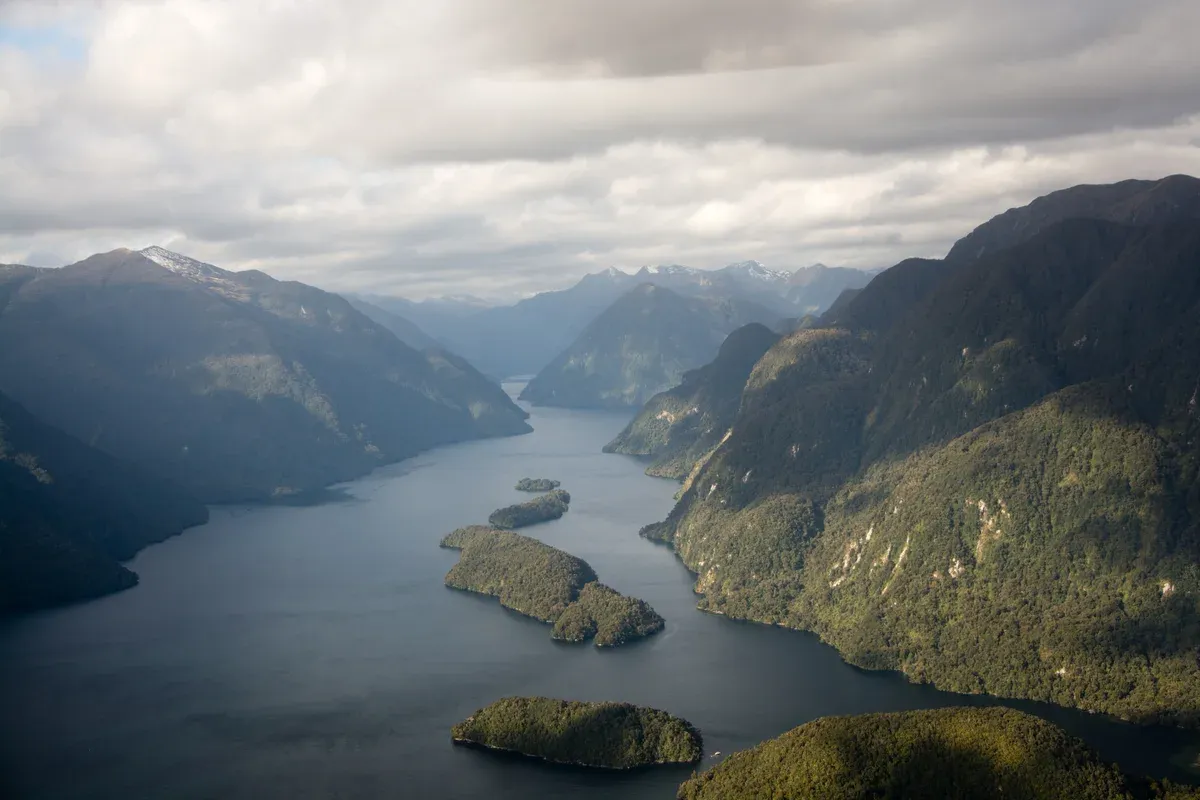 Fiord and forested islands seen from the air in Fiordland, a view like a Milford Sound scenic flight