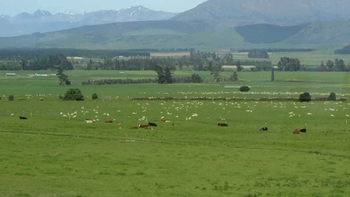 Green Southland farmland with mountains behind on the Athol to Five Rivers road, part of the route to a Milford Sound cruise