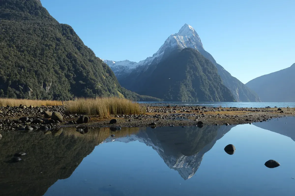 Mitre Peak with snow at the top reflected in calm water, seen on a Milford Sound boat tour day