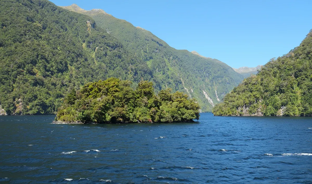 Rolla Island in Doubtful Sound, the quieter alternative to a Milford Sound boat tour