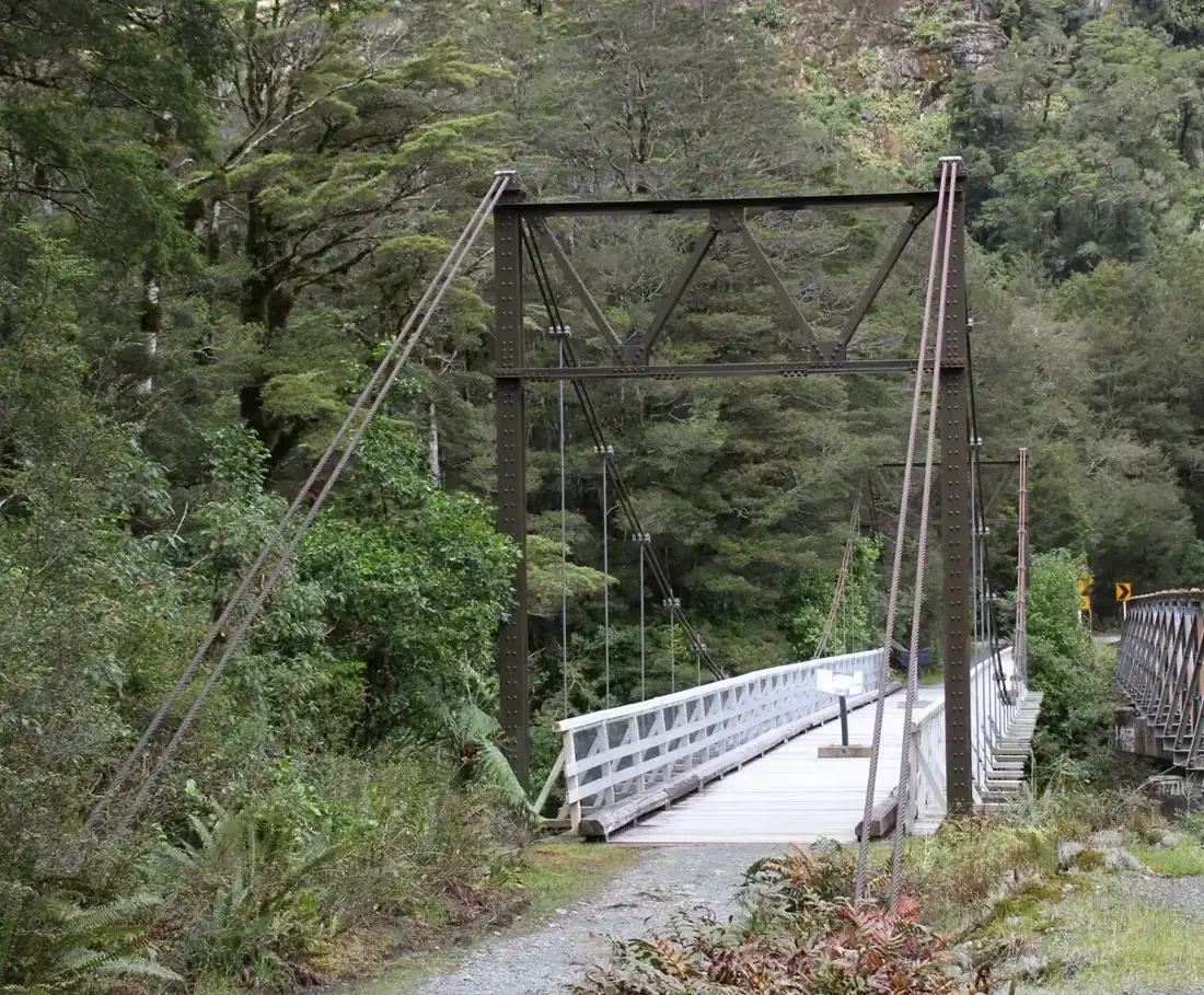 Tutoko River suspension bridge among beech forest beside the Milford Road on the way to a Milford Sound cruise