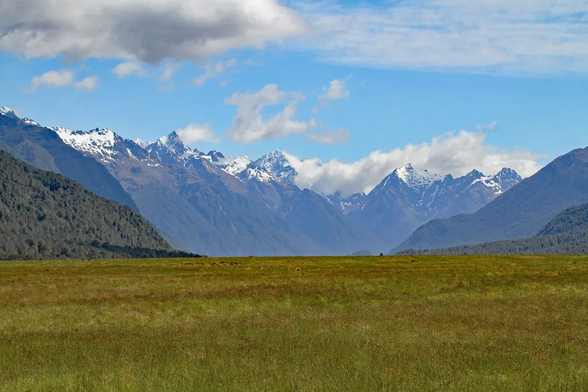 Snowy peaks above grassland at the Eglinton Valley viewpoint on the way to a Milford Sound cruise