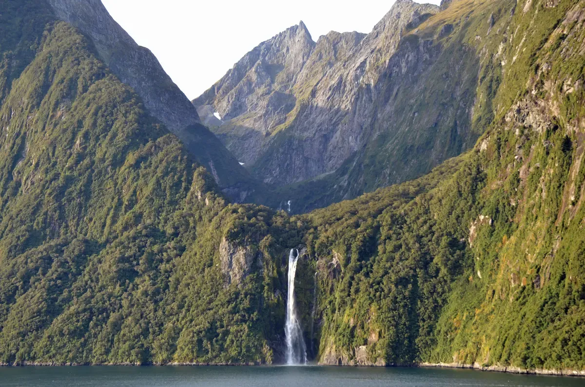 Stirling Falls dropping into Milford Sound between steep green slopes on a Milford Sound boat tour